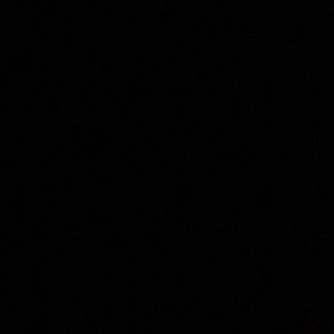 Meet your Posher, Rhonda